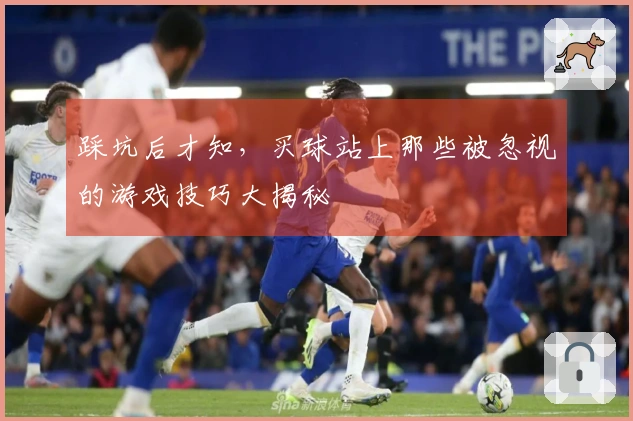 踩坑后才知，买球站上那些被忽视的游戏技巧大揭秘