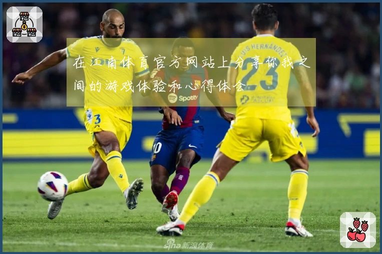 在江南体育官方网站上分享你我之间的游戏体验和心得体会